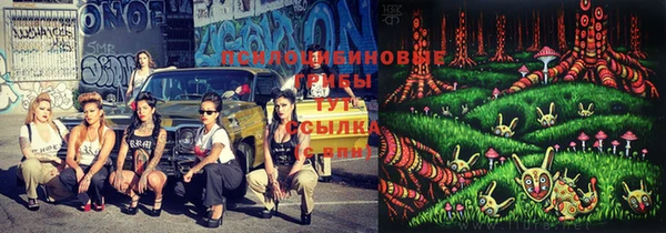 герыч Алексин