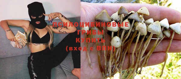 герыч Алексин
